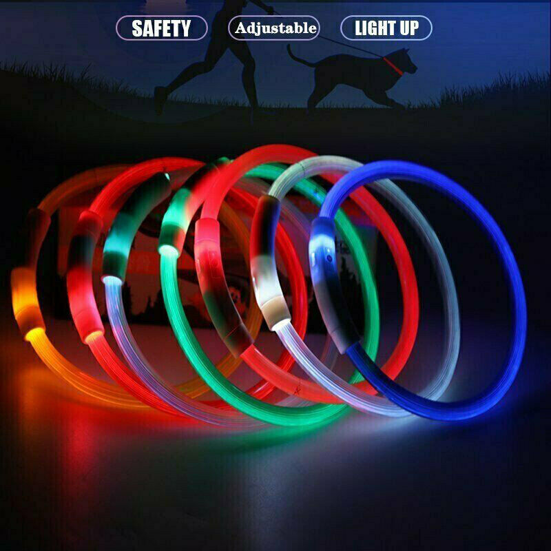 Rechargeable Night LED Dog Collar USB Glow Flashing Light Up Pet Collars Safety-Blue-Diameter Length-70cm ( DzTest )