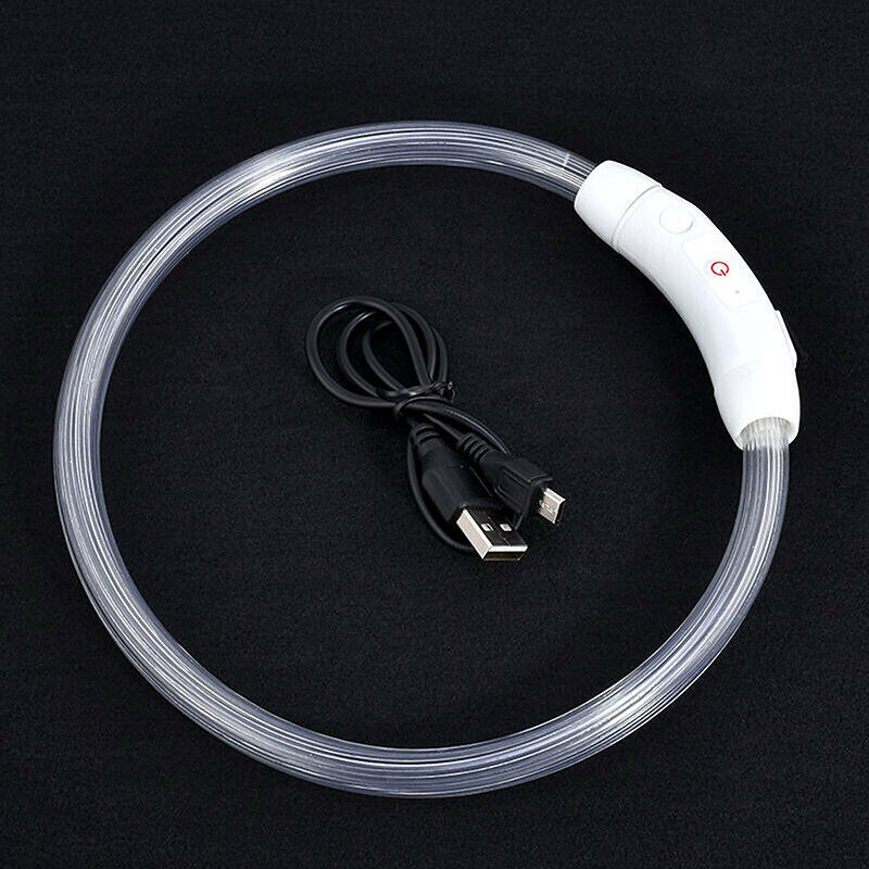 Rechargeable Night LED Dog Collar USB Glow Flashing Light Up Pet Collars Safety-Blue-Diameter Length-70cm ( DzTest )