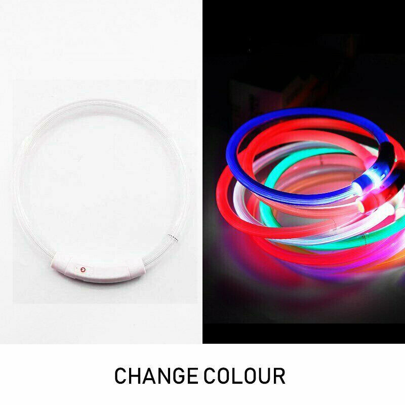 Rechargeable Night LED Dog Collar USB Glow Flashing Light Up Pet Collars Safety-Blue-Diameter Length-70cm ( DzTest )