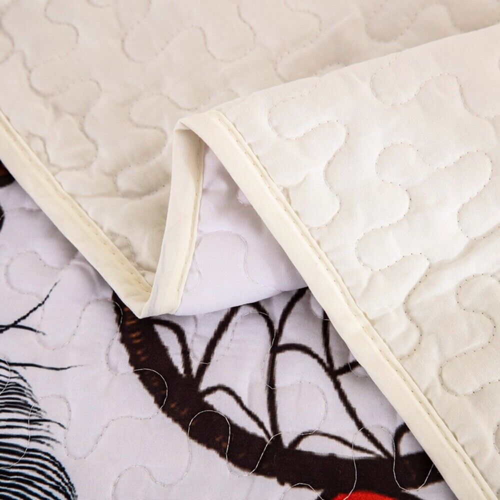 Radiant dreamcatcher white cultural 3 Pc Bedspread & Pillow Cover Set