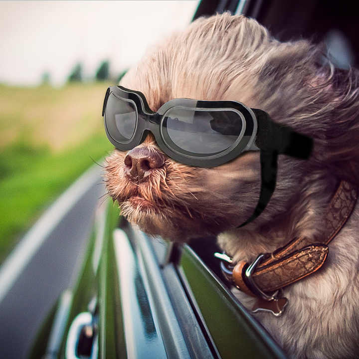 Blue Lenses Pet Sunglasses for Dogs and Cats โ UV Protection, Adjustable Strap, Anti-Wind and Anti-Fog Pet Goggles
