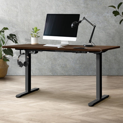 Motorized Adjustable Sit Stand Desk 160cm Black and Walnut