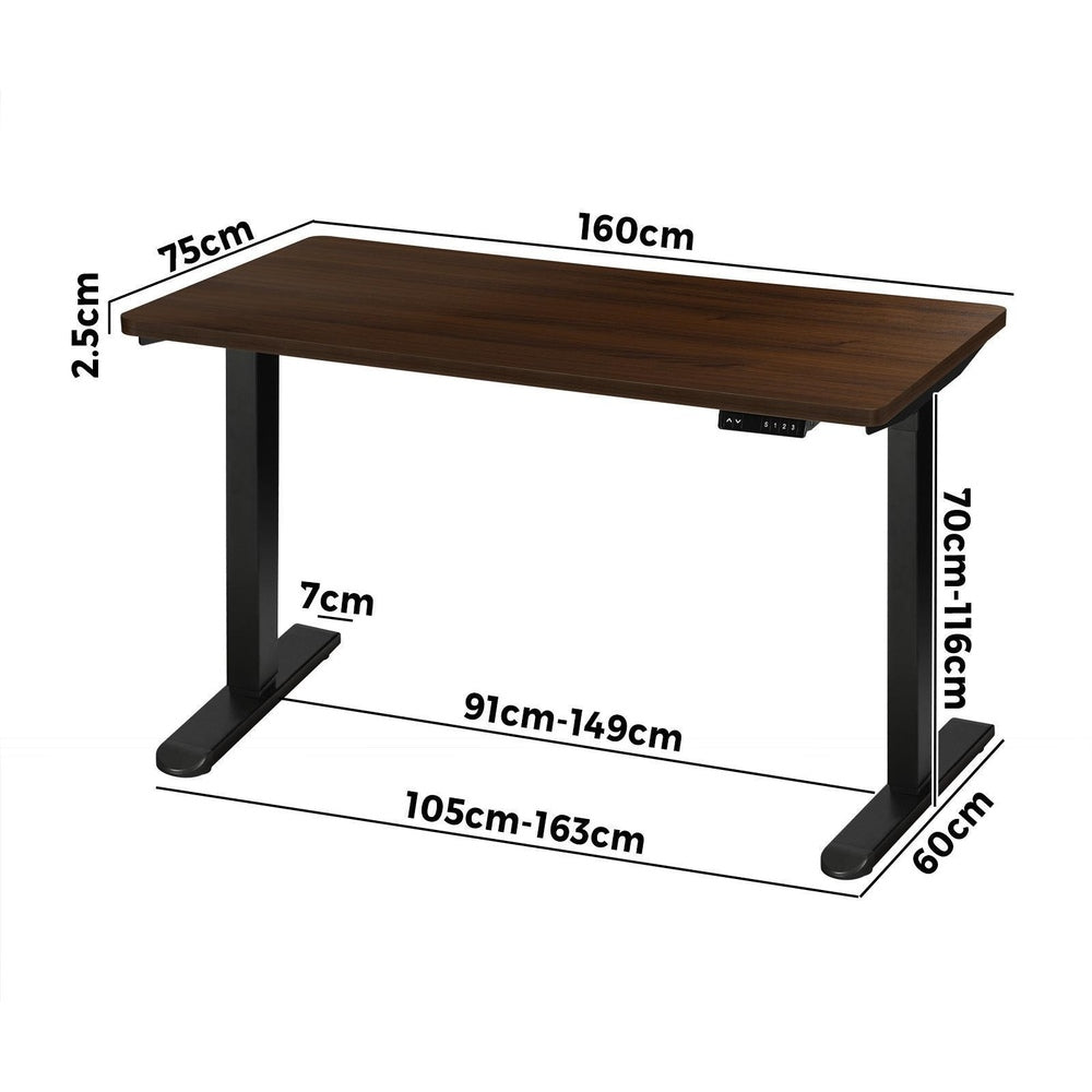 Motorized Adjustable Sit Stand Desk 160cm Black and Walnut