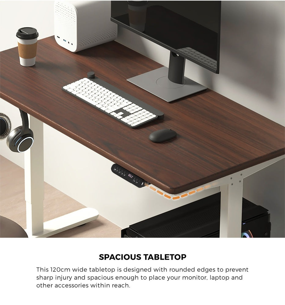 120cm Electric Standing Desk Single Motor Walnut and White