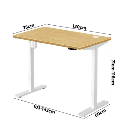 Electric Standing Desk Single Motor White&Oak 120cm