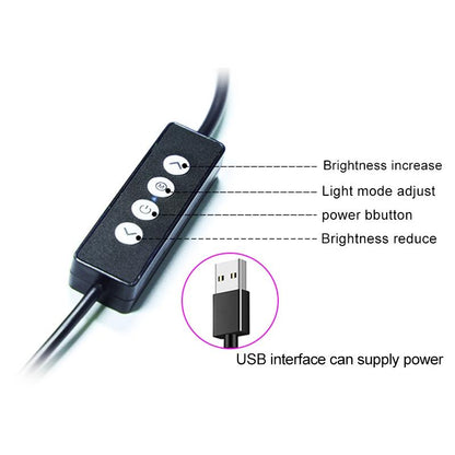 Portable Double Arm Fill Light with Phone Clip - Adjustable Brightness Black