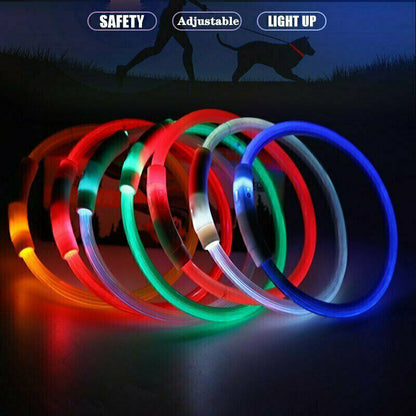 Rechargeable Night LED Dog Collar USB Glow Flashing Light Up Pet Collars Safety-Blue-Diameter Length-70cm ( DzTest )
