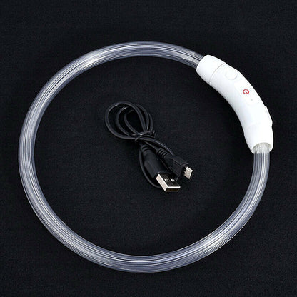 Rechargeable Night LED Dog Collar USB Glow Flashing Light Up Pet Collars Safety-Blue-Diameter Length-70cm ( DzTest )