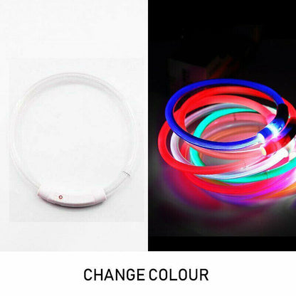 Rechargeable Night LED Dog Collar USB Glow Flashing Light Up Pet Collars Safety-Blue-Diameter Length-70cm ( DzTest )