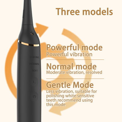 Professional Ultrasonic Teeth Cleaner - 3 Modes, IPX7 Waterproof Dental Scaler Kit with LED Light & 3 Heads(black)